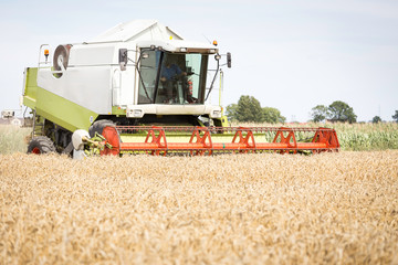 Obraz premium Harvester machine