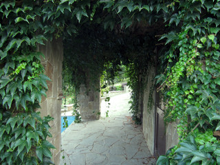 archway in garden