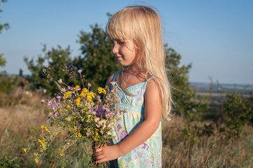 Naklejka na ściany i meble Little cute blonde girl in a field on a sunny day with a bouquet of wild flowers.