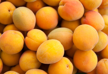 lots of yellow orange ripe apricot