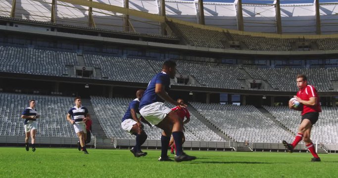 Rugby players playing rugby match in stadium 4k