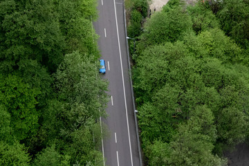 road in forest