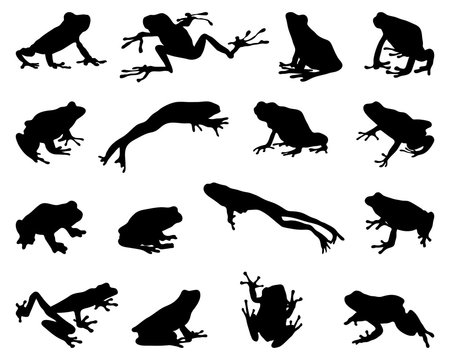 Black silhouettes of frogs on a white background