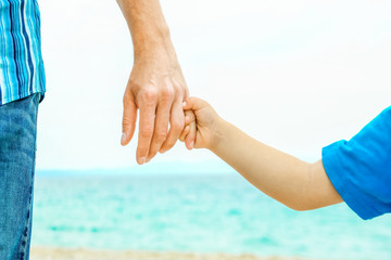 beautiful hands of a happy parent and child by the sea in nature