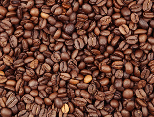 Fototapeta premium Coffee beans close-up