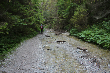 Obraz premium A tourist in the beautiful gorges of the Slovak Paradise National Park