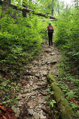 Obraz premium A tourist in the beautiful gorges of the Slovak Paradise National Park