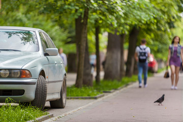 Car parked in pedestrian zone under trees along street with walking people on summer day.