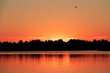 Naklejka premium sunset over lake Seliger