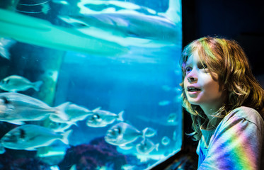bambino guarda i pesci in un acquario