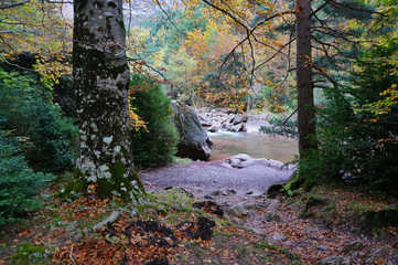 La Selva de Oza, Espa&ntilde;a