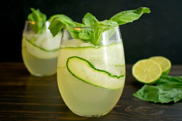 Cucumber Basil Gin and Tonic Cocktail