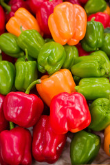 yellow, green and red bell pepper close-up. card, banner, space for text.