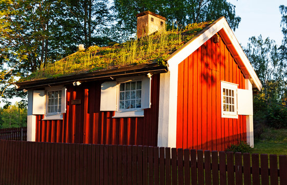 old house with grass on the roof