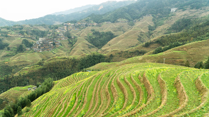 Fototapeta premium Famous Longji rice terraces (also Longsheng rice terraces) during early spring, China