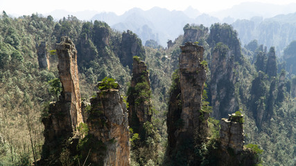 The Zhangjiajie National Forest Park - a unique national forest park with thousands of quartz-sandstone pillars, China
