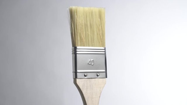 Pincel sobre fondo gris, modelo 40