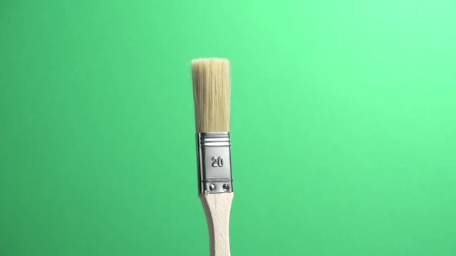 Pincel de 20 sobre fondo verde
