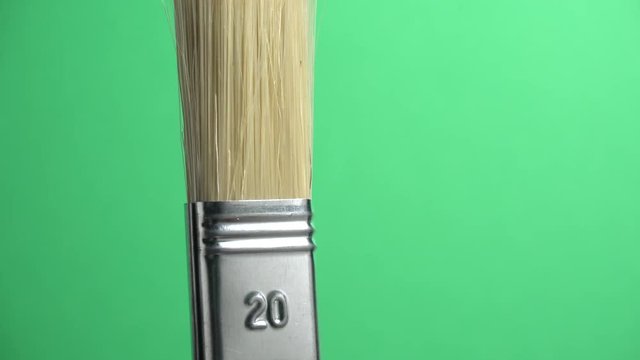 Pincel de 20 sobre fondo verde