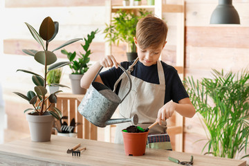 Cute little gardener with plants indoors