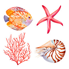 Set of coral reef animals. Coral, nautilus, butterfly fish, starfish. Isolated watercolor illustration.