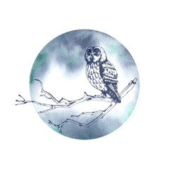 Owl sitting on a tree branch hand drawn sketch with watercolor background. Wildlife illustration. Forest bird.