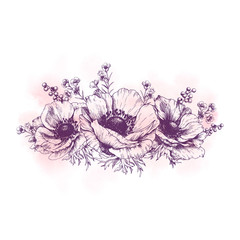 Elegant flower arrangement with anemone. Ink outline with watercolor background hand drawn floral design element.
