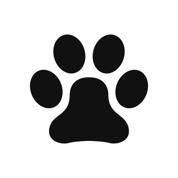Paw print vector icon in modern design style for web site and mobile app
