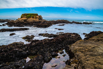 Beautiful Day Along the Northern California Coast in California
