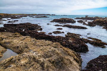 Beautiful Day Along the Northern California Coast in California