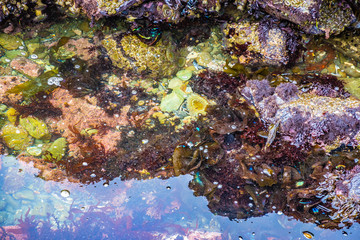 Beautiful Day Along the Northern California Coast