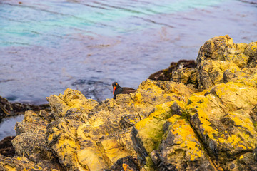 Beautiful Day Along the Northern California Coast