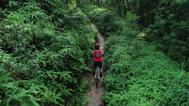 Woman cyclist cross country biking in tropical rainforest