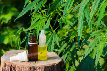 Pharmaceutical CBD oil. Herbal organic medicine product. Natural herb essential from nature. Bottle cure CBD oil