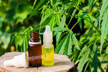 Pharmaceutical CBD oil. Herbal organic medicine product. Natural herb essential from nature. Bottle cure CBD oil