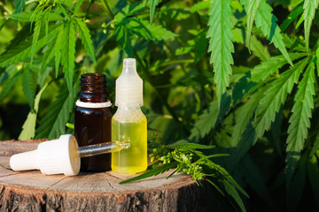 Pharmaceutical CBD oil. Herbal organic medicine product. Natural herb essential from nature. Bottle cure CBD oil