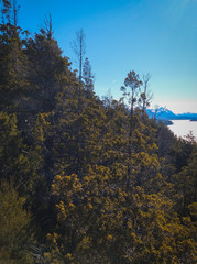 paisaje bariloche montañas lago nieve argentina