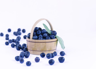 wild berries blueberries in woodware