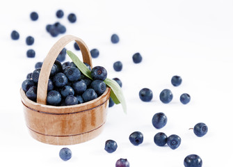 wild berries blueberries in woodware