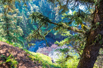 Beautiful Morning Along the Oregon Coast 