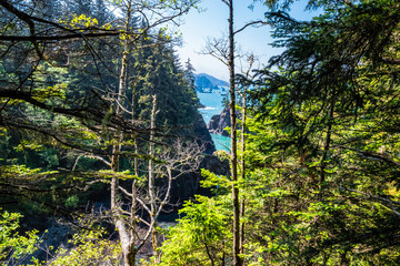 Beautiful Morning Along the Oregon Coast 