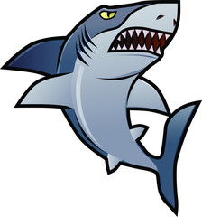 Angry great white shark vector