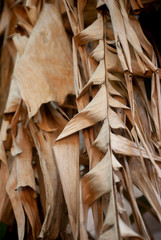 close up dry banana leaf