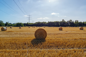Round dry hay and straw bales from cut grain on harvesting wheat fields. Sunny view of countryside with golden wheat field after harvesting time in summer season and background of High-Voltage post.
