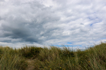 A sandy pathway through the Marram Grass Ammophila arenaria on a cloudy day on the beach at Bull Island, Dublin. This course grey-green prickly grass is the dominant vegetation on the sand dunes. - Powered by Adobe