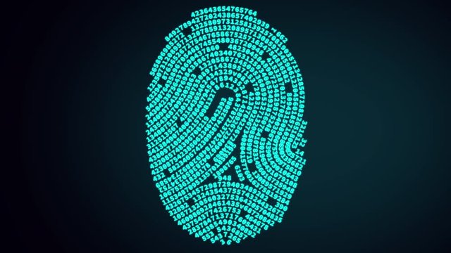Digital fingerprint security password