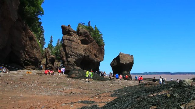 Rochers Hopewell au Nouveau-Brunswick