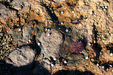 rocks in water