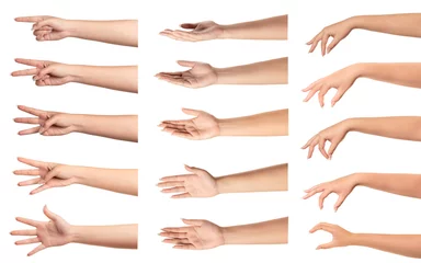 Fotobehang Set of  woman hands with different gestures on white... © Suraphol