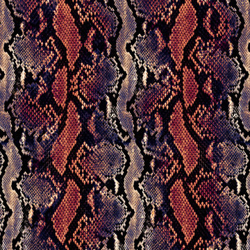 Piton skin, snake pattern, animal skin